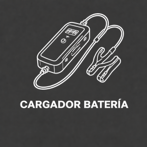 Cargadores de Baterías