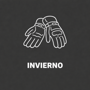 Guantes de Invierno